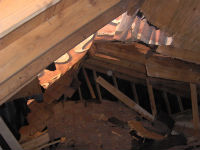 Wind Damage Sheathing